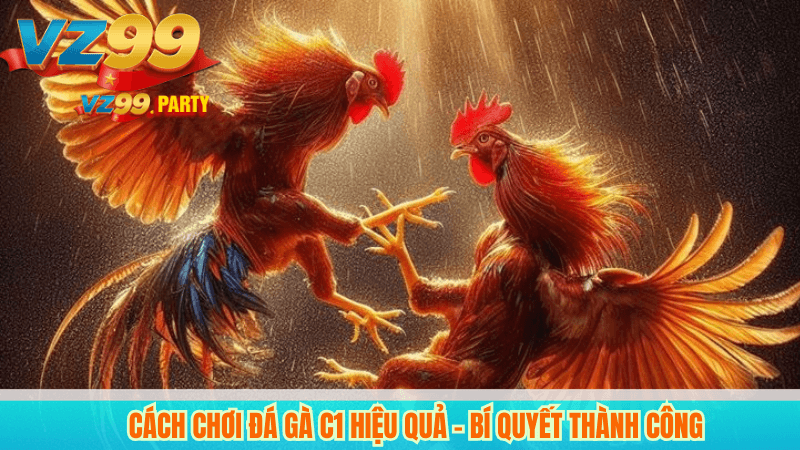 Xem trực tiếp đá gà C1 hôm nay: trận đấu hấp dẫn, kèo ngon! 5 Cách chơi đá gà c1 hiệu quả – Bí quyết thành công