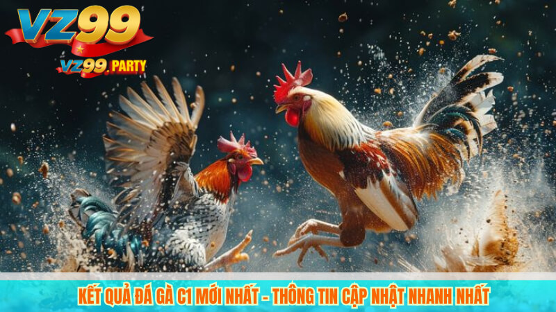 Xem trực tiếp đá gà C1 hôm nay: trận đấu hấp dẫn, kèo ngon! 4 Kết quả đá gà c1 mới nhất – Thông tin cập nhật nhanh nhất