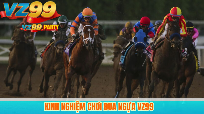 Kinh nghiệm chơi đua ngựa VZ99