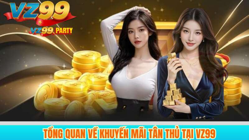 Tổng Quan Về Khuyến Mãi Tân Thủ Tại VZ99