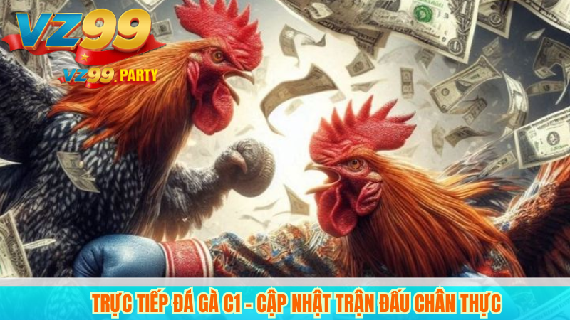 Xem trực tiếp đá gà C1 hôm nay: trận đấu hấp dẫn, kèo ngon! 2 Trực tiếp đá gà c1 – Cập nhật trận đấu chân thực
