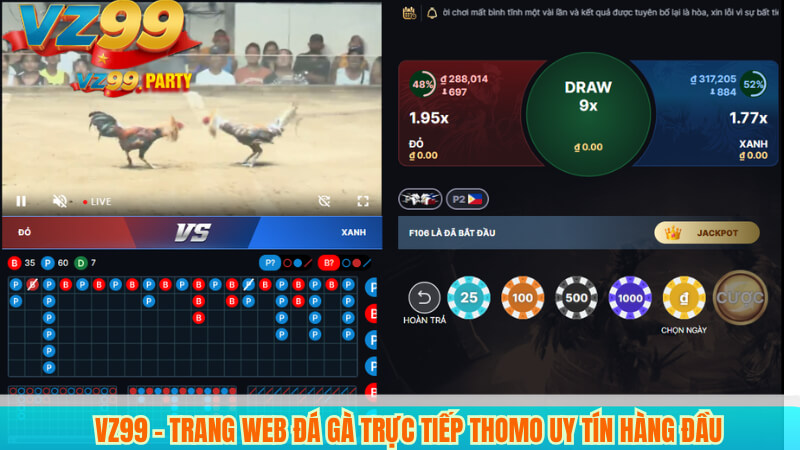Đá gà trực tiếp Thomo VZ99 – Thương hiệu uy tín hàng đầu 3 VZ99 – Trang web đá gà trực tiếp thomo uy tín hàng đầu