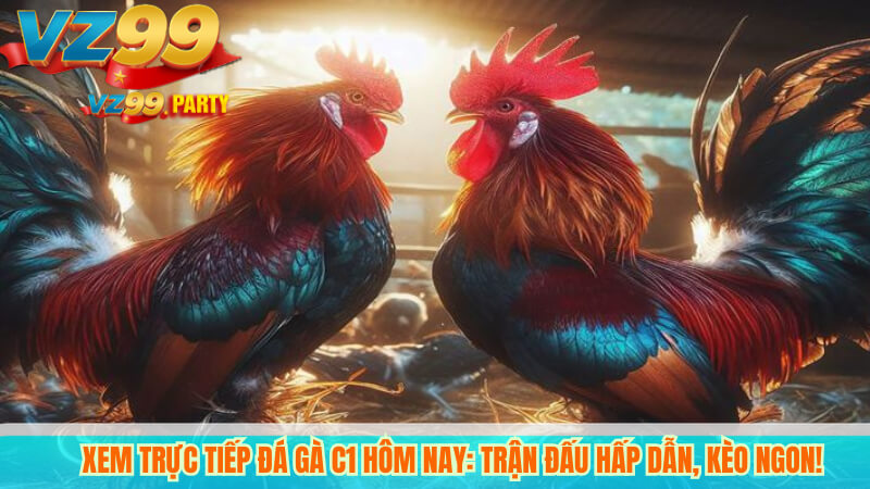 Xem trực tiếp đá gà C1 hôm nay: trận đấu hấp dẫn, kèo ngon!